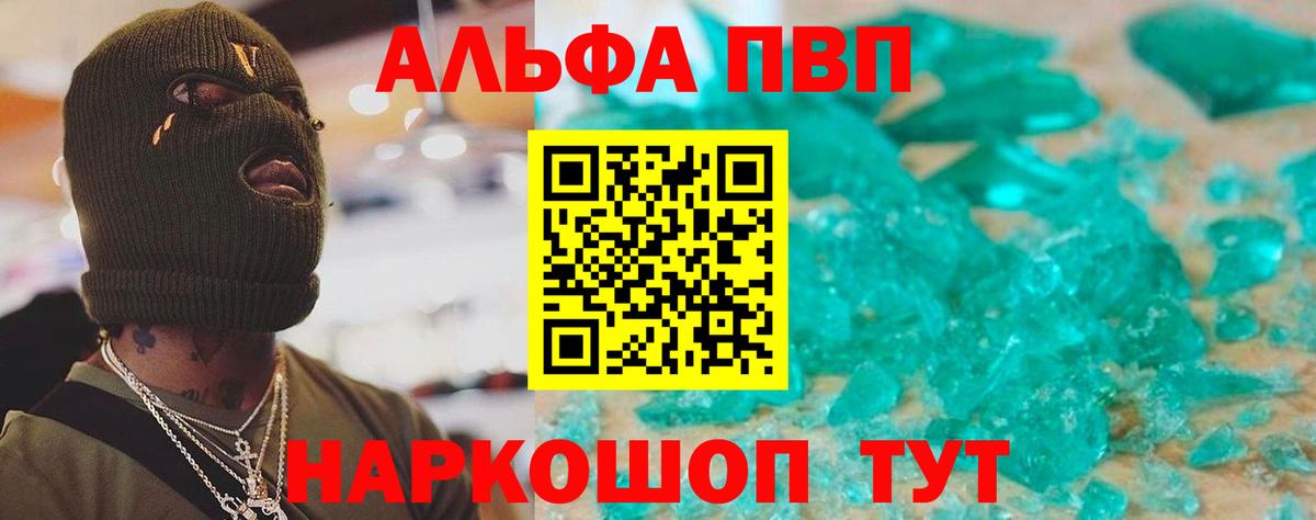 Альфа ПВП СК КРИС Кизилюрт