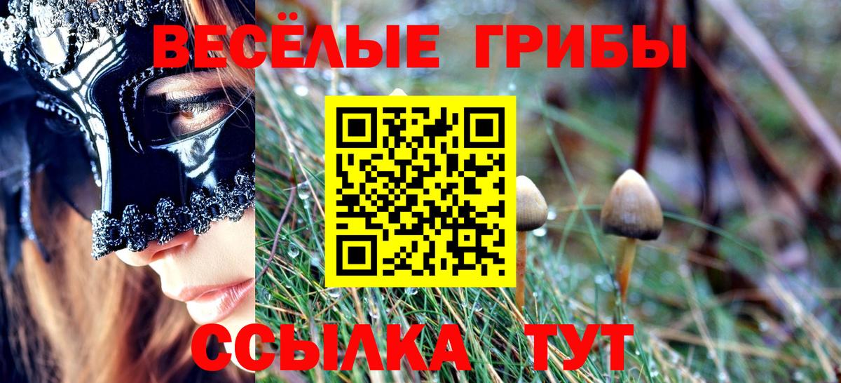 МЕФ Кизилюрт