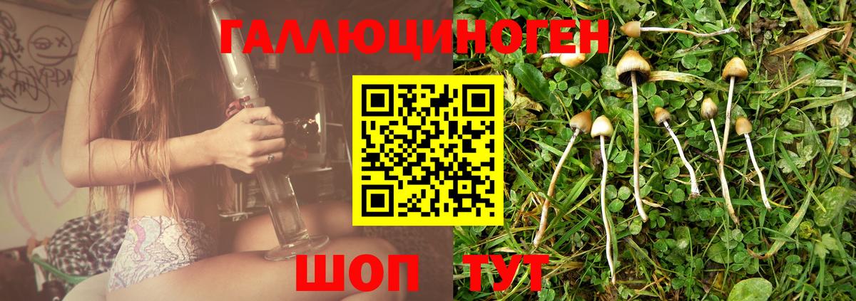 Галлюциногенные грибы мухоморы Кизилюрт
